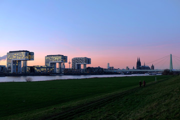 Skyline of Cologne during Sunset with Cathedral