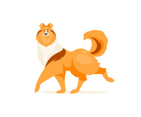 Collie dog vector