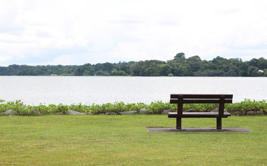 empty chair on green grass