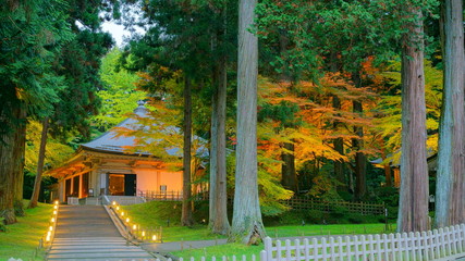 平泉の紅葉