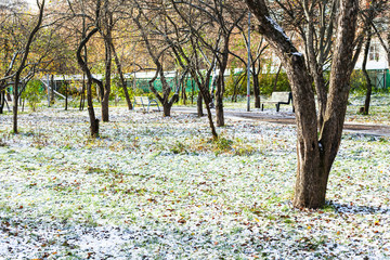 view of city park covered with the first snow