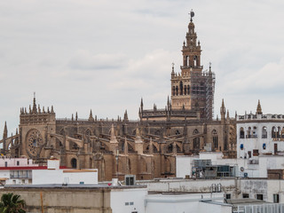 Fototapeta premium Seville skyline featuring cathedral