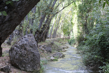 The Mesa river in its canyon, next to some rocks and a path in the Los Prados forest next to the rural small town of Jaraba, in Aragon region, Spain