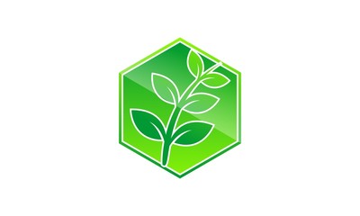 Plant and polygon logo