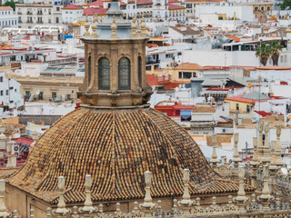 Seville cathedral dome detail and rooftops