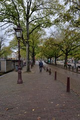 Fototapeta premium Alley along the canal