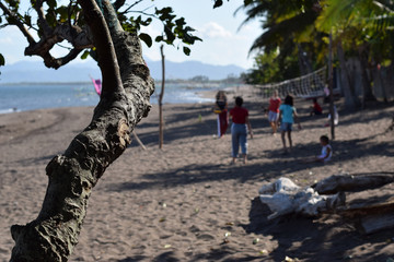 Fototapeta na wymiar Tree branch obscure the view of people playing volleyball on sea shore. selective focus, blurs