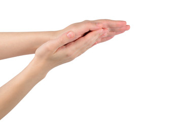 Woman's hands applause pattern isolated on white background