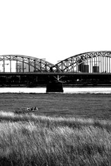 Bridge in Black and White