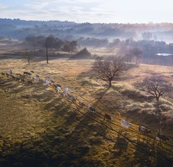 El camino del Ganado