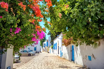 Wandcirkels tuinposter Stadsgezicht van de blauwe en witte stad Sidi Bou Said. Tunesië, Noord-Afrika © Valery Bareta