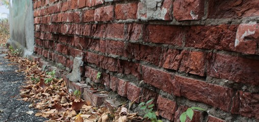 brick wall