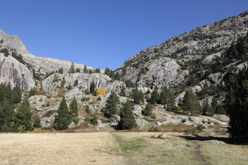 A landscape of the high rocky mountains with firs and pine trees forest and a blue sky in a sunny...