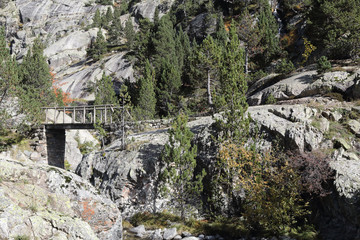 A small stone and wooden bridge on the Caldarès river during autumn in the firs and pine forest of...