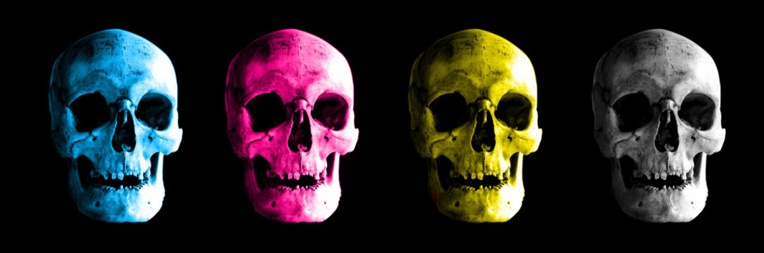 Human skull in color variations.