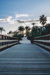 Walking through the wooden bridge between exotic scenery of palm trees at sunset