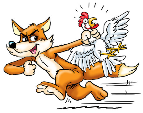 The fox carries a frightened chicken