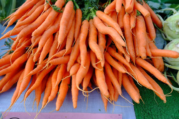 Karotten im Bund