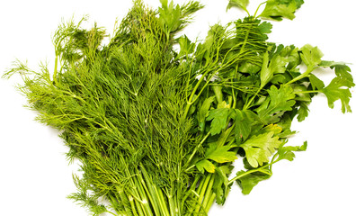 Fototapeta premium Green leaves of dill and parsley on a white background