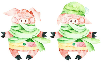 Watercolor christmas cute pigs. Handpainted  watercolor winter elements. Perfect for you postcard design, wallpaper, happy new year print, invitations, packaging etc. - 232122271