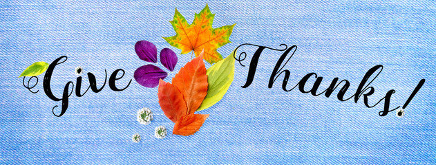 Horizontal facebook cover for Happy Thanksgiving site, collage of handwritten font and carved autumn leaves, cones, flowers and petals, flat top view, on blue background.