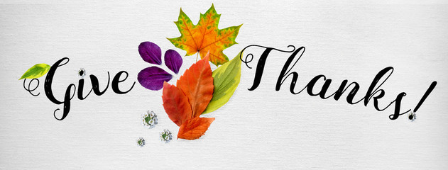 Horizontal facebook  cover for Happy Thanksgiving site, collage of handwritten font and carved autumn leaves, cones, flowers and petals, flat top view, on white background.