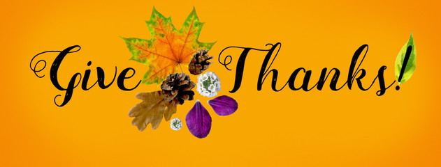 Horizontal facebook cover for Happy Thanksgiving site, collage of handwritten font and carved autumn leaves, cones, flowers and petals, flat top view, on orange background.