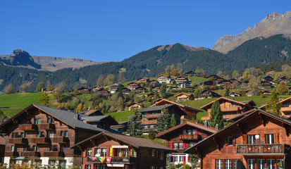Landscape with mountain village in autumn