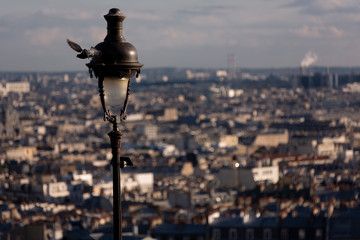 Paris, city of love landscape 