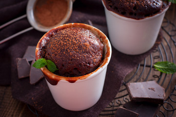 Chocolate cupcake, cooked glass in a microwave, horizontal