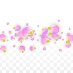 Vector Realistic Pink Petals Falling on Transparent Background.  Spring Romantic Flowers Illustration. Flying Petals. Sakura Spa Design. Blossom Confetti.