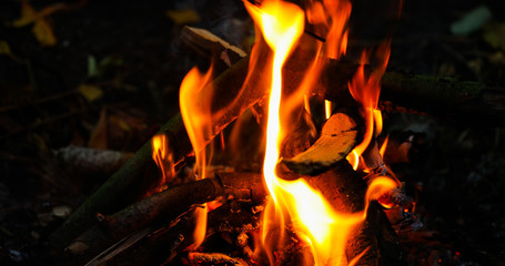 Barbecue and roasting on the open fire in a super slow motion on a fork is a meat spinner that...