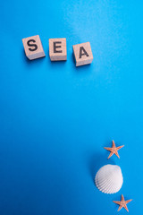 Seashell in isolated blue background and sea 
