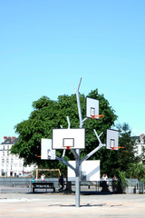 Basketball Field