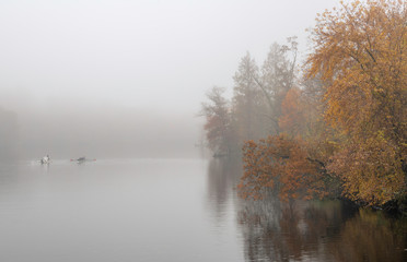Fototapety  Mglisty mistyczny poranek nad jeziorem w Princeton w stanie New Jersey w jesiennych kolorach i marzycielskim nastroju