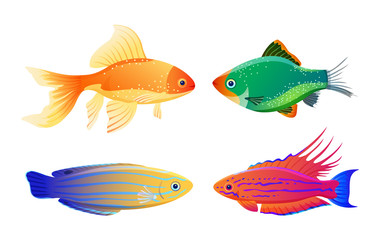 Rare Varicolored Sea Creature Cartoon Illustration