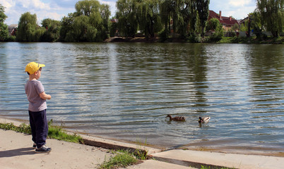 Obraz premium ducks on the lake