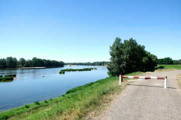 Fototapeta premium Tranquil River