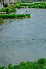 Riverside of Blois
