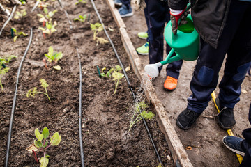 School garden