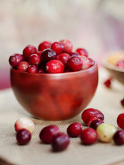 Fresh Picked Cranberries in a bowl