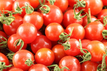 fresh wild currant tomatoes closeup