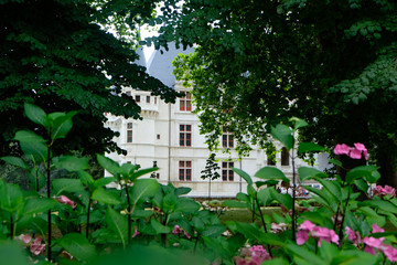 Fototapeta na wymiar Chateau Azay le Rideau