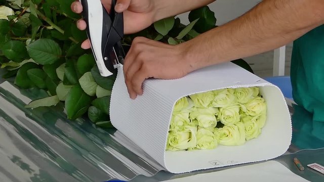 the man packages the flowers with a paper, preparation for transport
