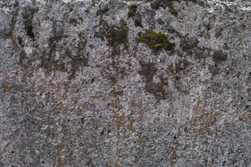 rough texture of the concrete wall