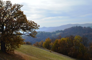 Obraz premium landscape in autumn 