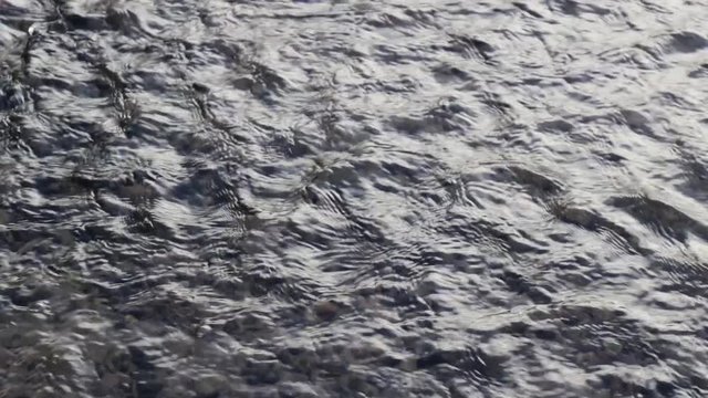 Kräuselung Bilder Durchsuchen 154 Archivfotos, und