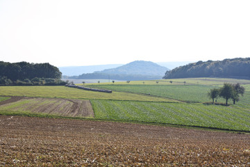 Landscape with mountains and fields