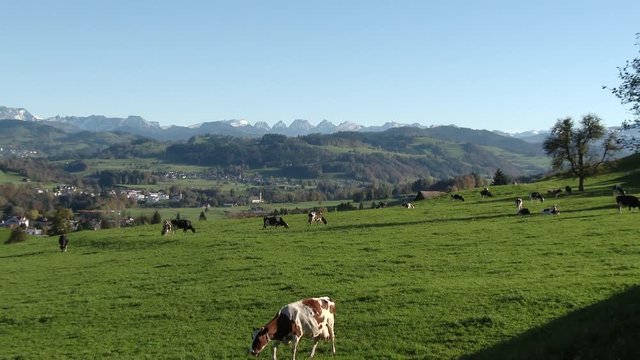 Churfirsten Schweiz Toggenburg 
