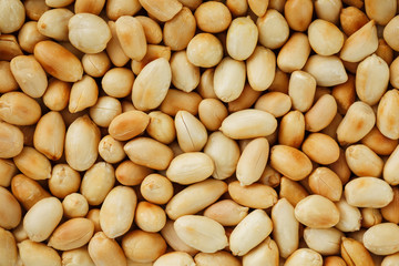 Peanut texture. food background of peanuts beans.